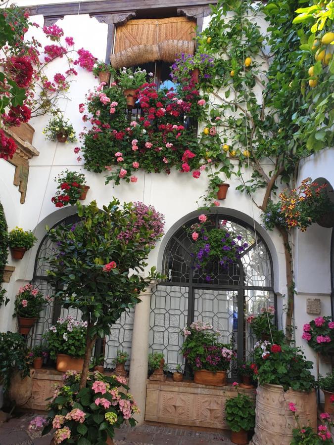 Apto. Planta Baja Y Cochera Barrio San Basilio Кордова Екстер'єр фото