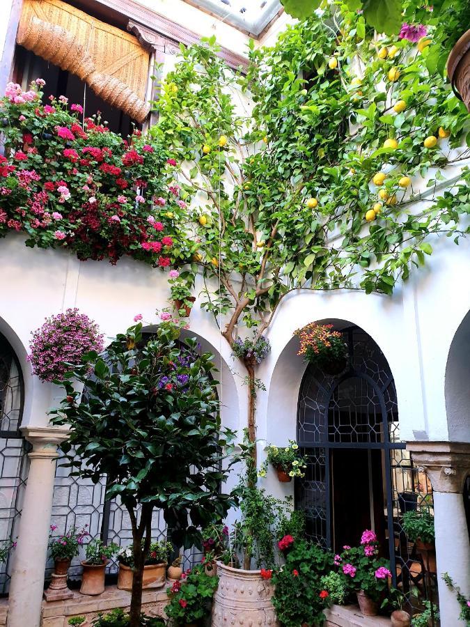 Apto. Planta Baja Y Cochera Barrio San Basilio Кордова Екстер'єр фото